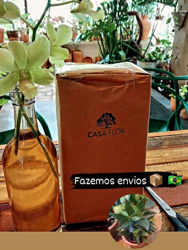 Casa Flor, envio para todo Brasil