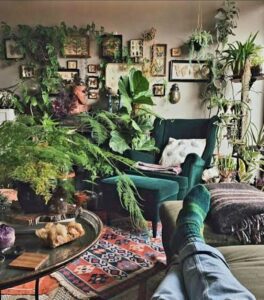 Urban jungle flat 1